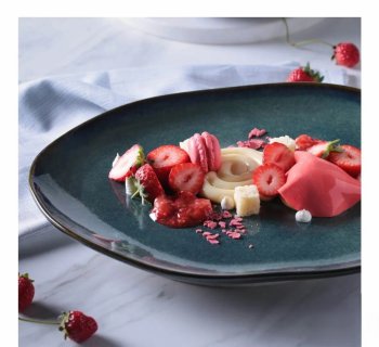 Pratos de Sobremesa Orgânico Oceano Ø19,5cm