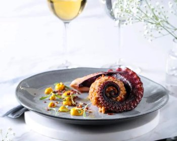 Pratos Raso Orgânico Concreto Ø26,5cm